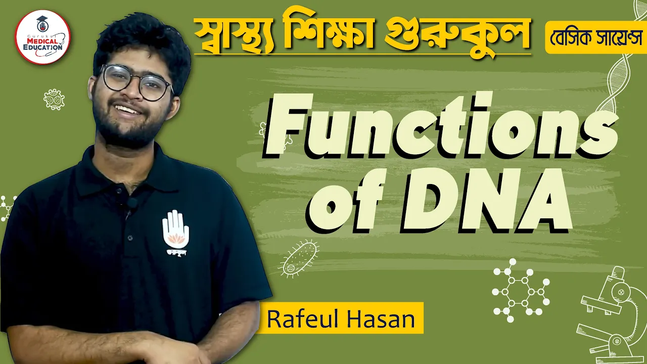 ডিএনএ এর কাজ